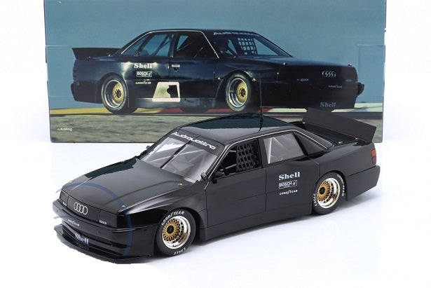 Audi 200 Trans Am Test Car 1987 - 1/18 Werk83