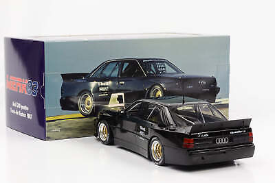 Audi 200 Trans Am Test Car 1987 - 1/18 Werk83